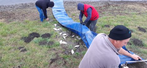 keszeg_4.jpg keszeg_4.jpg